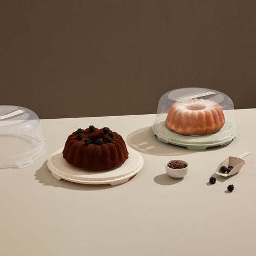 Plastic Round Cake Carrier