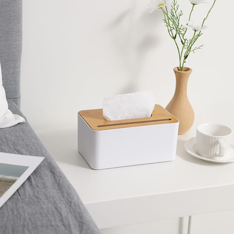 Modern Plastic Rectangular Tissue Box.