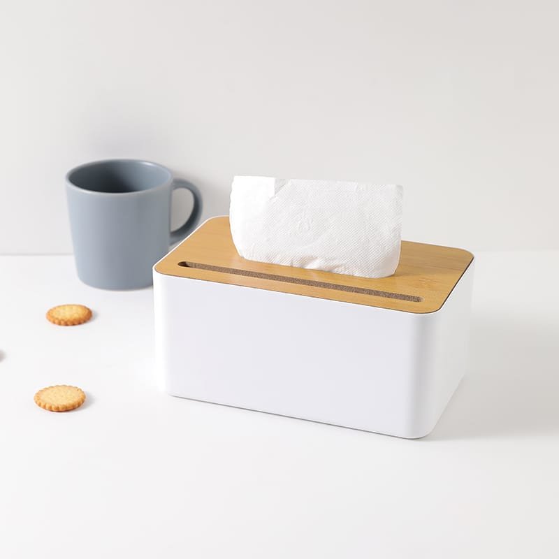 Modern Plastic Rectangular Tissue Box.