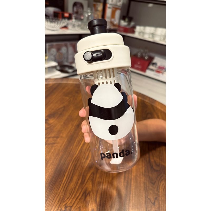Panda Glass Water Bottle with Filter - Simple Portable Design.